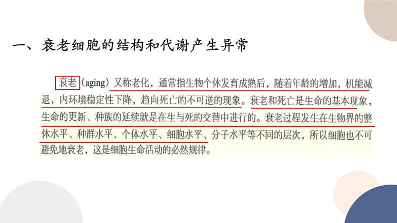 第四章- 第三节 细胞凋亡是编程性死亡（课件PPT）第3页