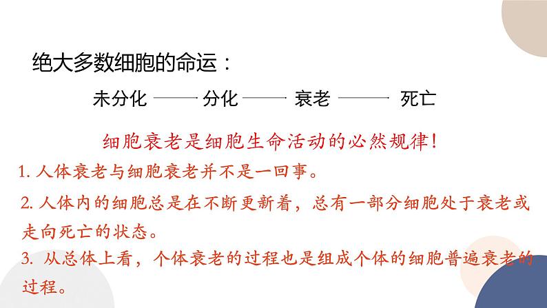 第四章- 第三节 细胞凋亡是编程性死亡（课件PPT）第5页