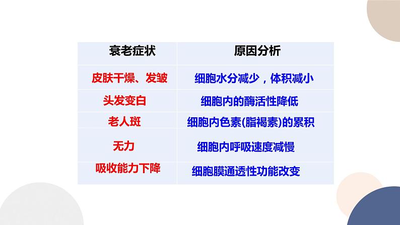 第四章- 第三节 细胞凋亡是编程性死亡（课件PPT）第7页