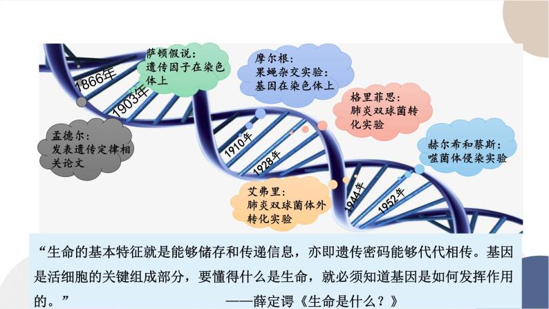 第三章- 第二节 遗传信息编码在DNA分子上（课件PPT）03