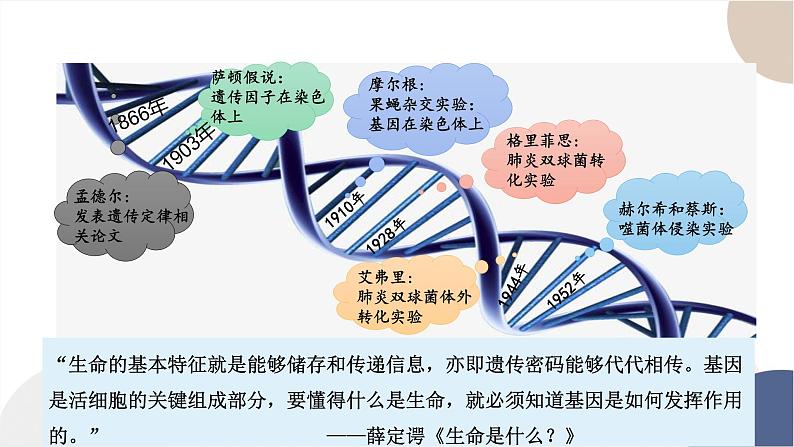 第三章- 第二节 遗传信息编码在DNA分子上（课件PPT）第3页