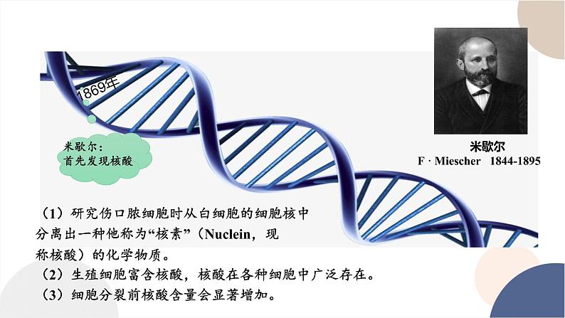 第三章- 第二节 遗传信息编码在DNA分子上（课件PPT）第4页