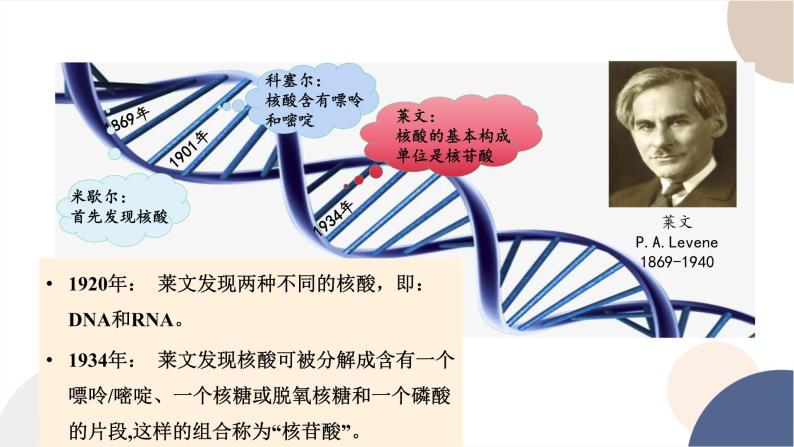 第三章- 第二节 遗传信息编码在DNA分子上（课件PPT）06