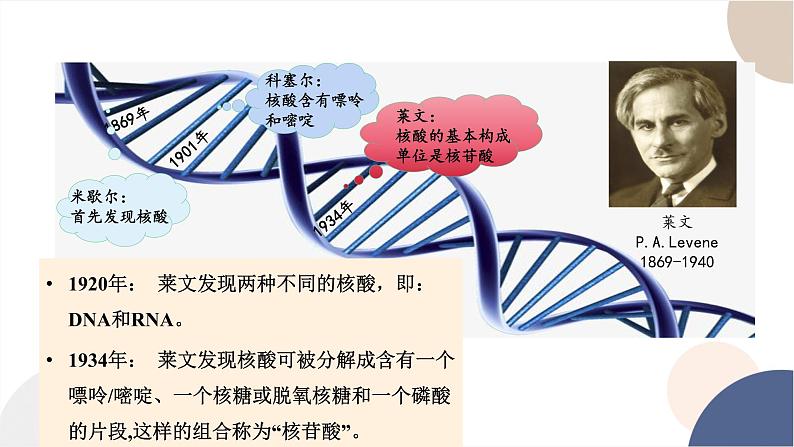 第三章- 第二节 遗传信息编码在DNA分子上（课件PPT）第6页