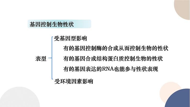 第三章- 第五节 生物体存在表观遗传现象（课件PPT）02