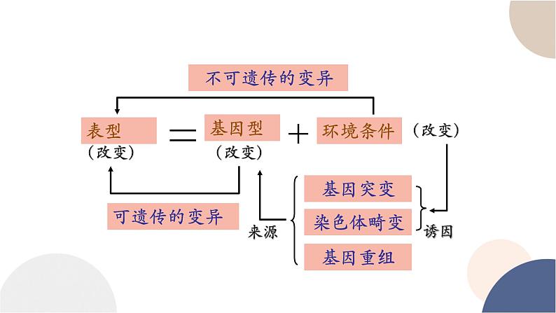 第四章- 第一节 基因突变可能引起性状改变（课件PPT）03