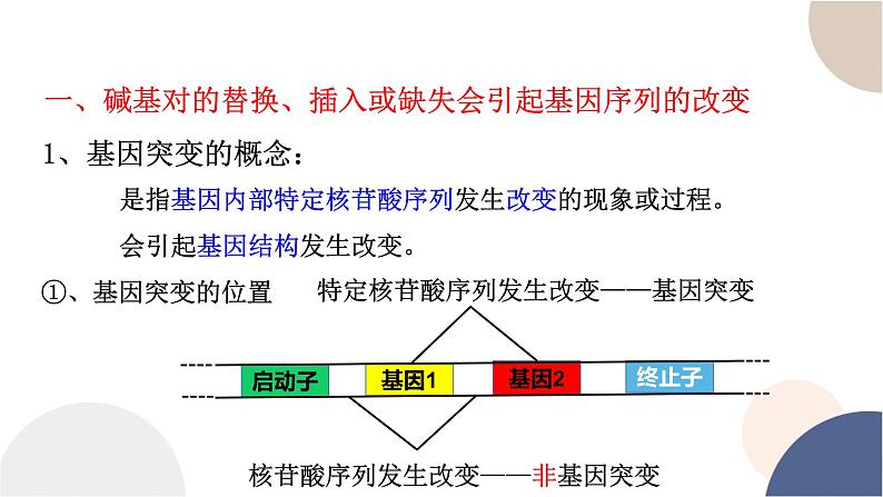 第四章- 第一节 基因突变可能引起性状改变（课件PPT）04