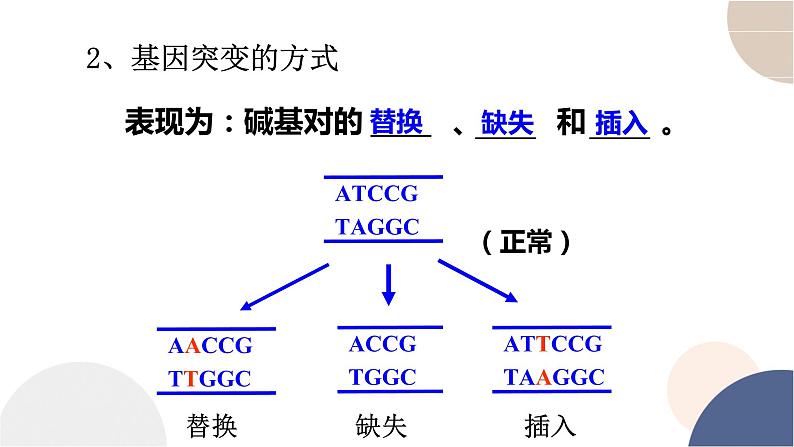 第四章- 第一节 基因突变可能引起性状改变（课件PPT）05