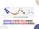 第四章- 第三节 染色体畸变可能引起性状改变（课件PPT）