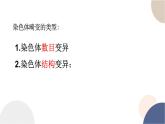 第四章- 第三节 染色体畸变可能引起性状改变（课件PPT）