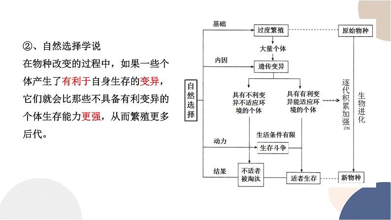 第五章- 第一节 丰富多样的现存物种来自共同祖先（课件PPT）第5页