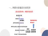 第五章- 第二节 适应是自然选择的结果（课件PPT）
