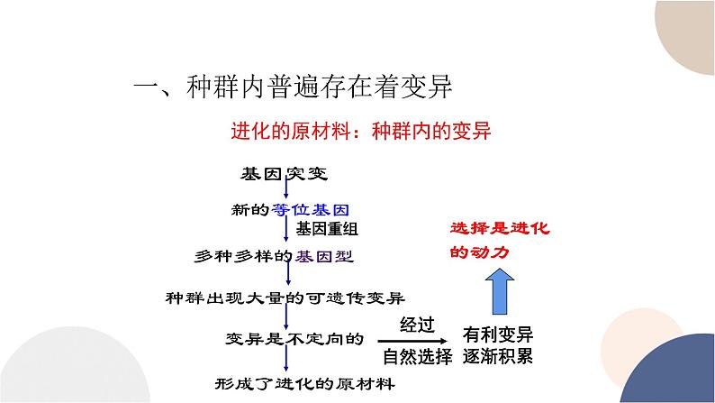 第五章- 第二节 适应是自然选择的结果（课件PPT）04