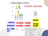 第五章- 第二节 适应是自然选择的结果（课件PPT）