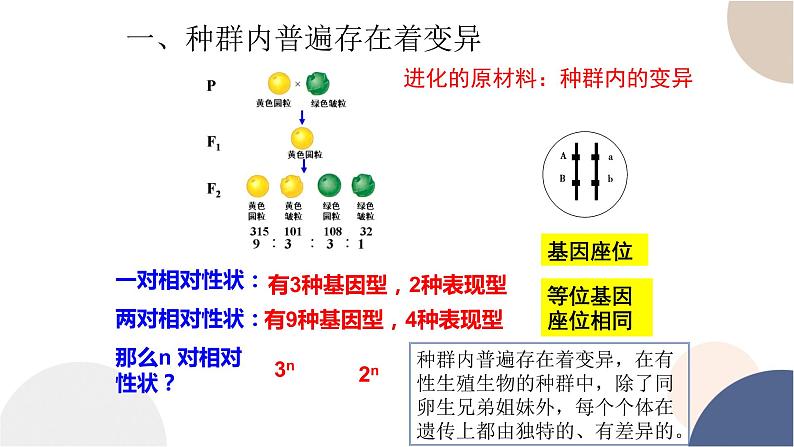 第五章- 第二节 适应是自然选择的结果（课件PPT）05