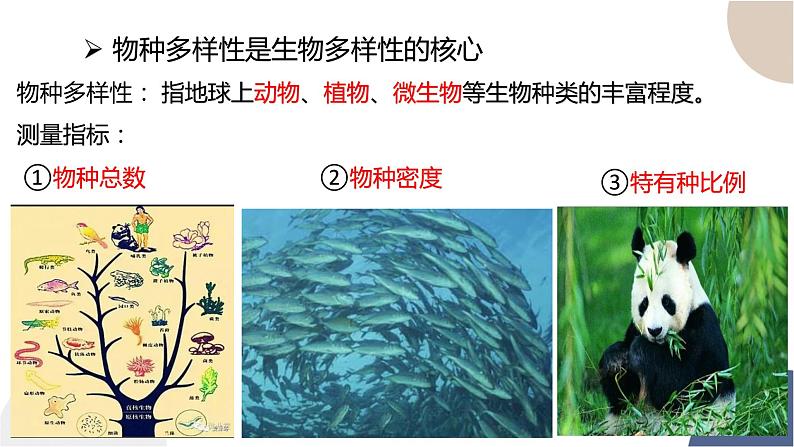 第五章- 第三节 生物多样性为人类生存提供资源与适宜环境（课件PPT）04