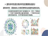 第五章- 第三节 生物多样性为人类生存提供资源与适宜环境（课件PPT）