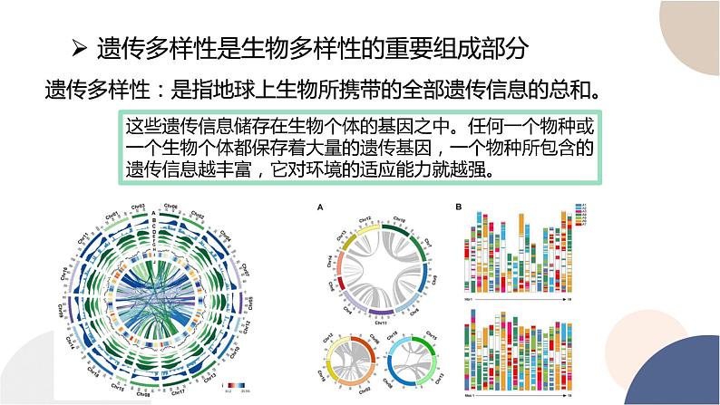 第五章- 第三节 生物多样性为人类生存提供资源与适宜环境（课件PPT）05