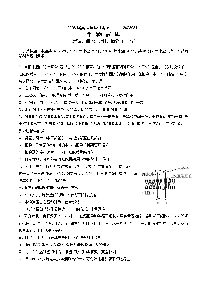 生物试题：2023届高考适应性考试第1页