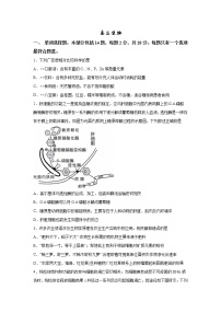 2023南京中华中学、南京师大附中江宁分校等2校高三下学期一模试题生物含答案