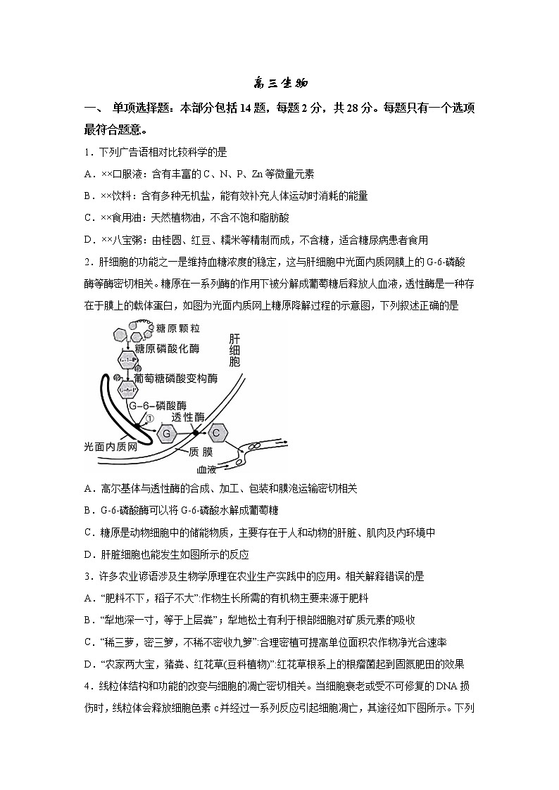 2023南京中华中学、南京师大附中江宁分校等2校高三下学期一模试题生物含答案01