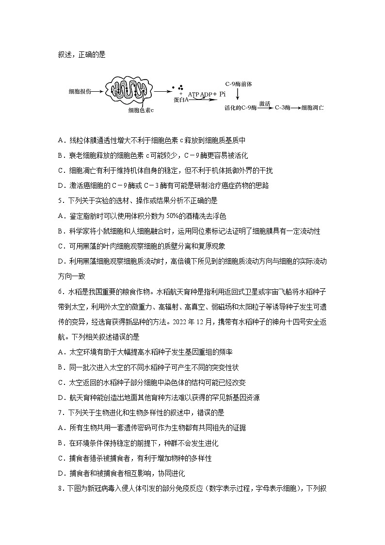2023南京中华中学、南京师大附中江宁分校等2校高三下学期一模试题生物含答案02