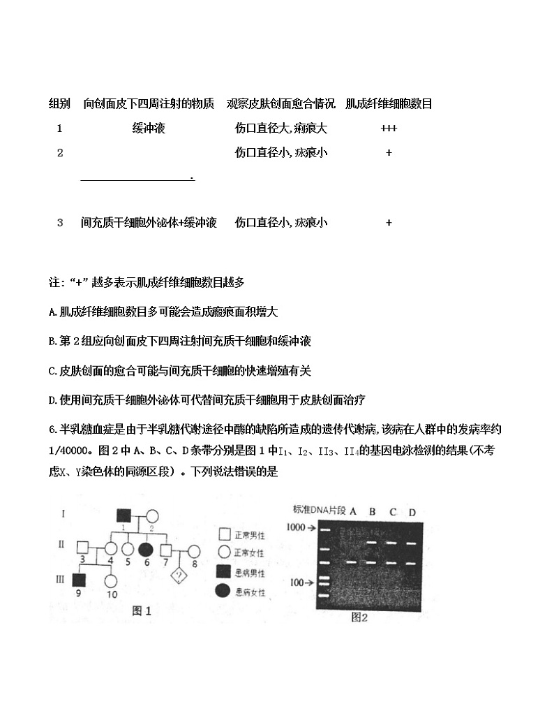 2023唐山高三下学期3月一模试题生物含答案03