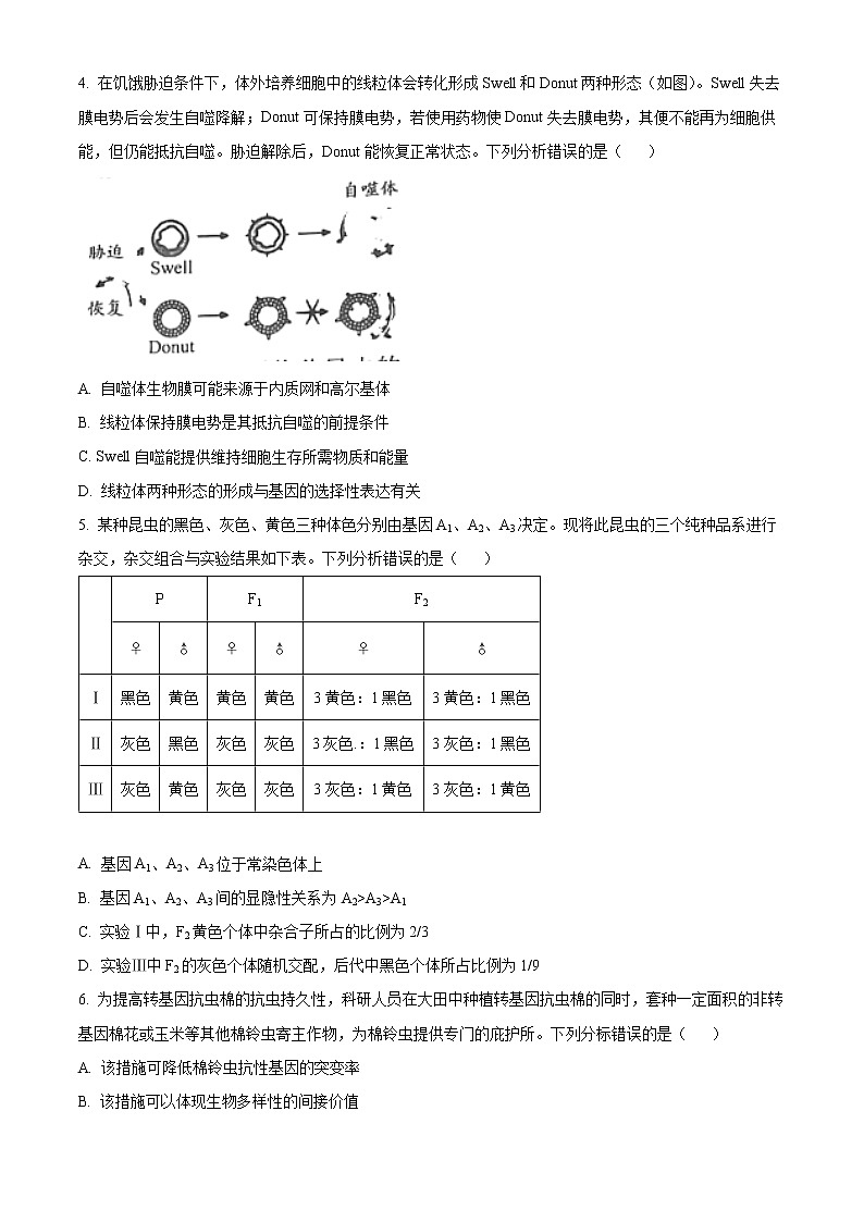 2023日照高三下学期一模生物试题含答案02