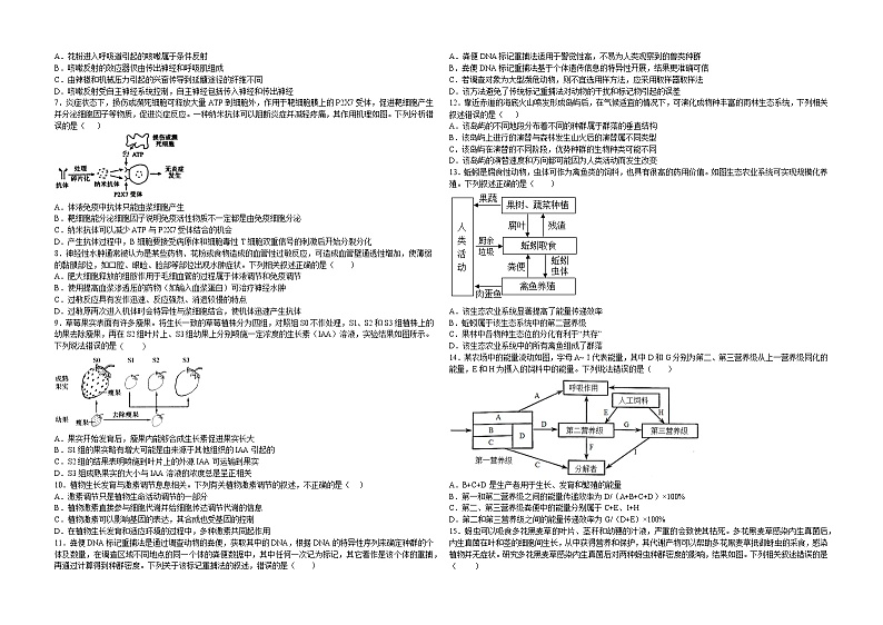 湖北省襄阳市第一中学2022-2023学年高二3月月考生物试题第2页