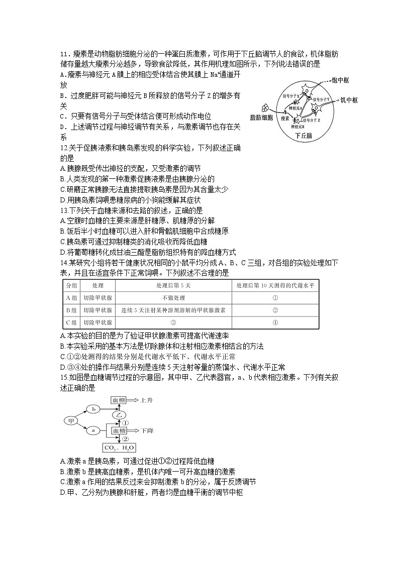 2022-2023学年吉林省洮南市第一中学高二上学期第一次月考生物试题含答案第3页