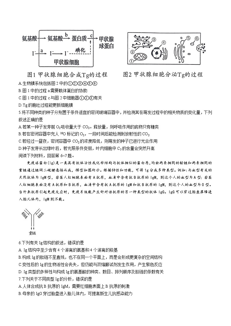 2023届湖北省八市高三（3月）联考生物试题第2页