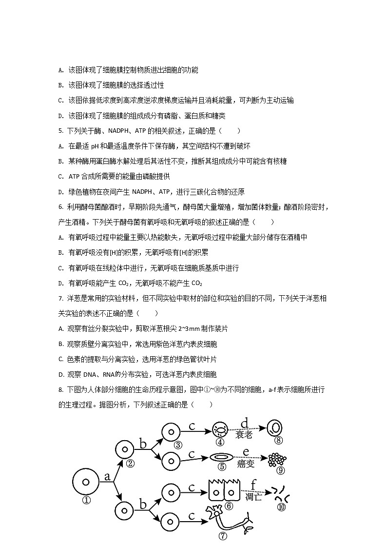 2021-2022学年河南省安阳市滑县高二下学期期末考试生物试题含答案第2页