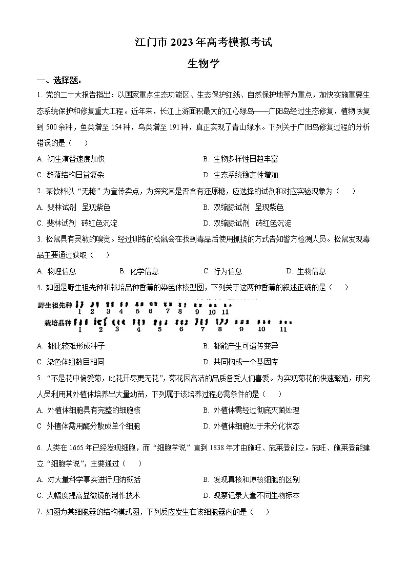 2023江门高三下学期3月高考模拟考试（一模）生物含答案01