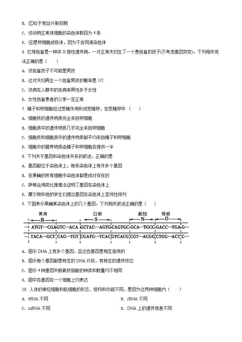 2022宁波北仑中学高一下学期期中考试生物（学考）含解析02