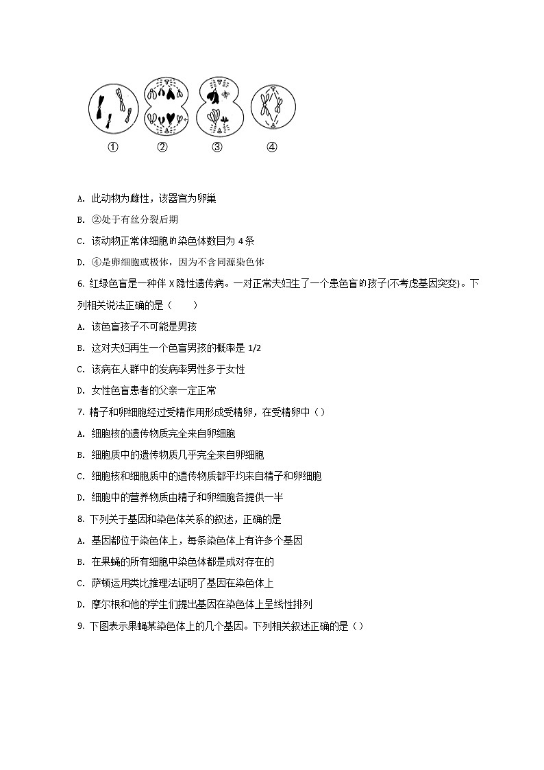 2022宁波北仑中学高一下学期期中考试生物试题含答案第2页