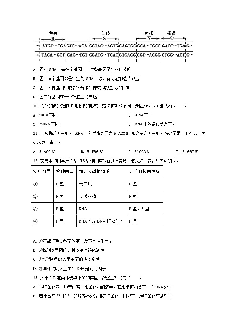 2022宁波北仑中学高一下学期期中考试生物试题含答案第3页