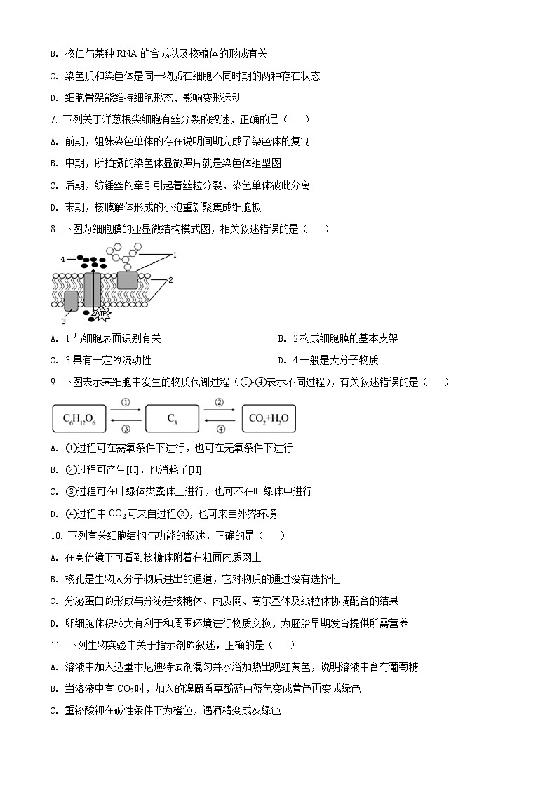 2022湖州三贤联盟高一下学期期中联考试题生物含解析02