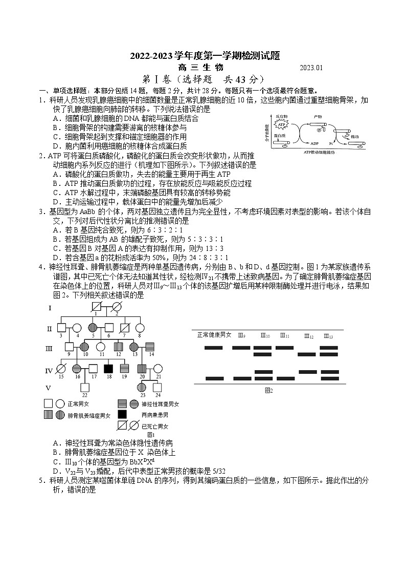 2023届江苏省扬州市高三上学期期末考试生物试卷含答案第1页
