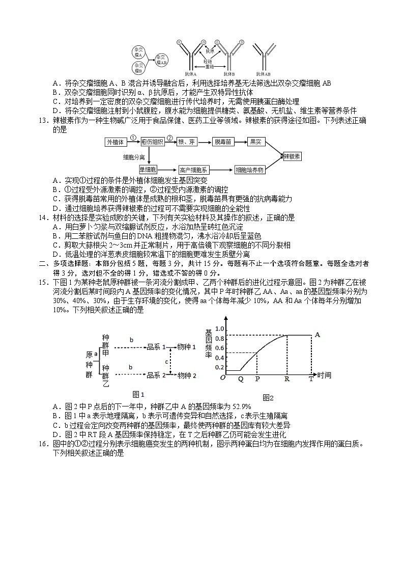 2023届江苏省扬州市高三上学期期末考试生物试卷含答案第3页