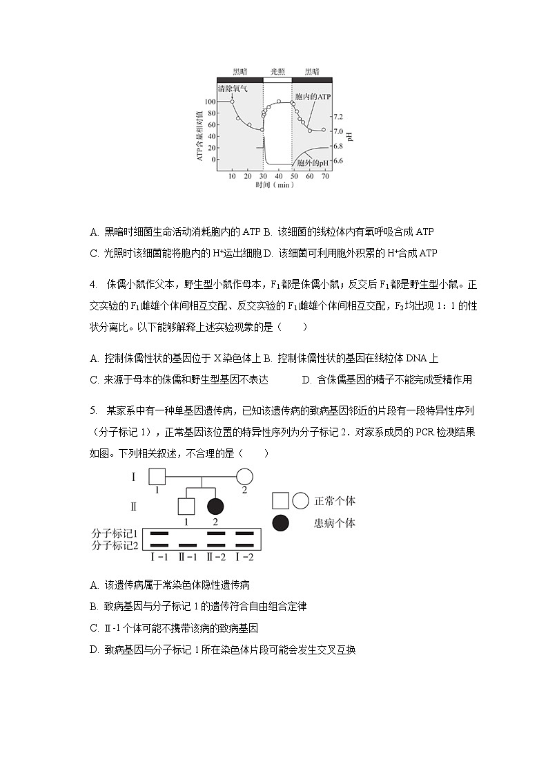 2022-2023学年北京市海淀区高三上学期期末生物试卷word版含答案02