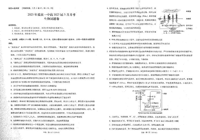 重庆市第一中学2022-2023学年高三下学期3月月考试题 生物 PDF版含解析第1页