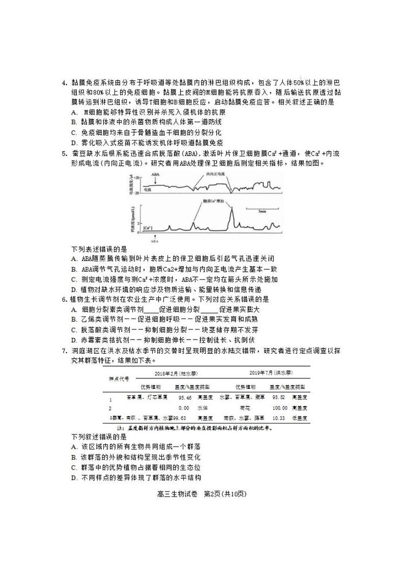 2022-2023学年北京市朝阳区高三上学期期末质量检测生物试题PDF版含答案02
