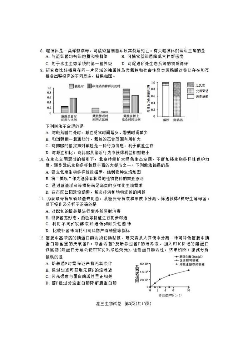2022-2023学年北京市朝阳区高三上学期期末质量检测生物试题PDF版含答案03