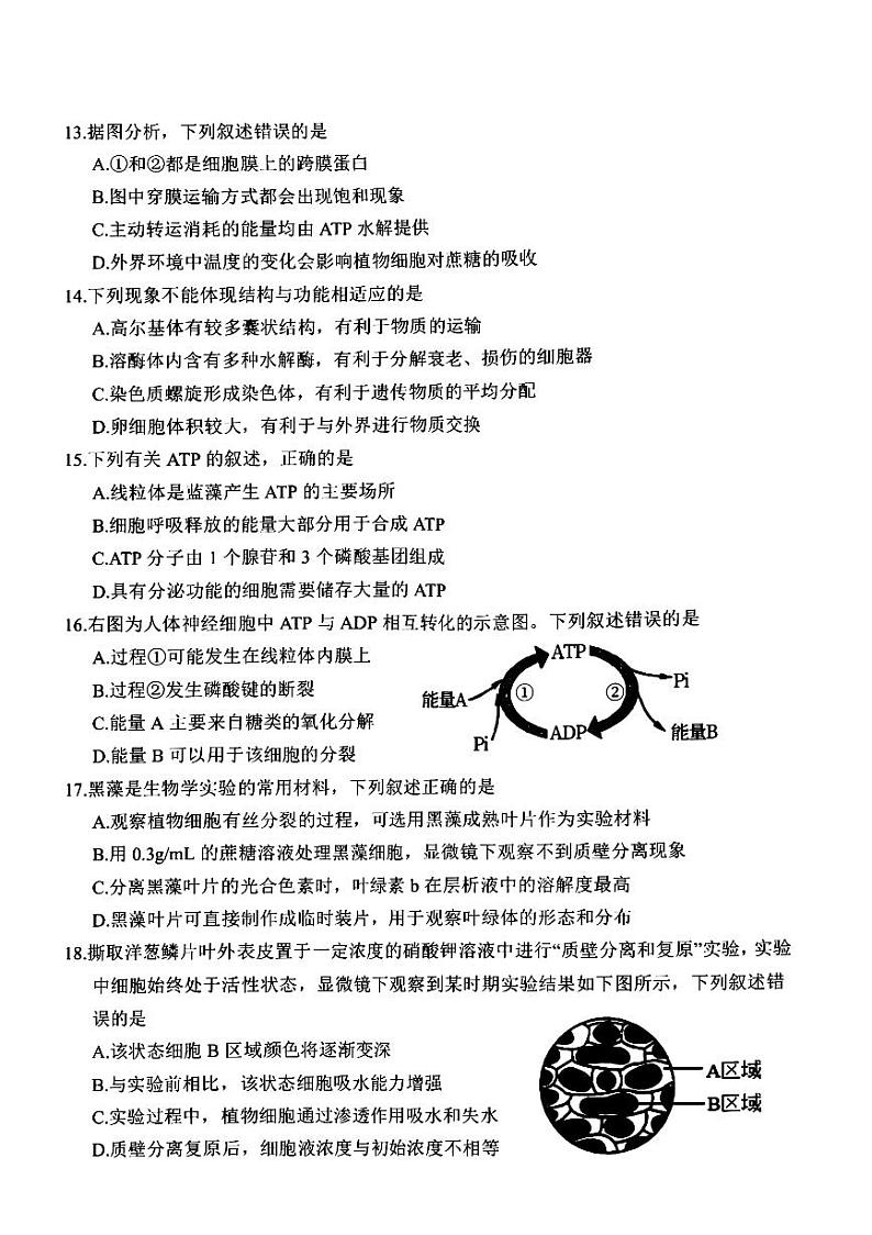 2022-2023学年浙江省湖州市高一上学期期末调研测试生物试题PDF版含答案03