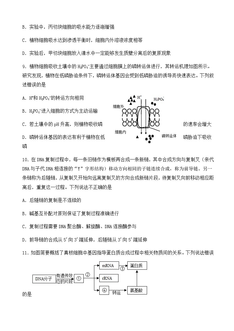 2023届福建省连城县第一中学高三上学期月考二生物试卷含答案03