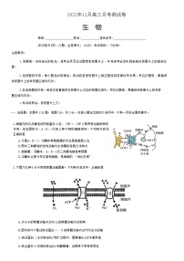 2022-2023学年湖南省A佳教育高三上学期12月联考试题生物Word版含答案