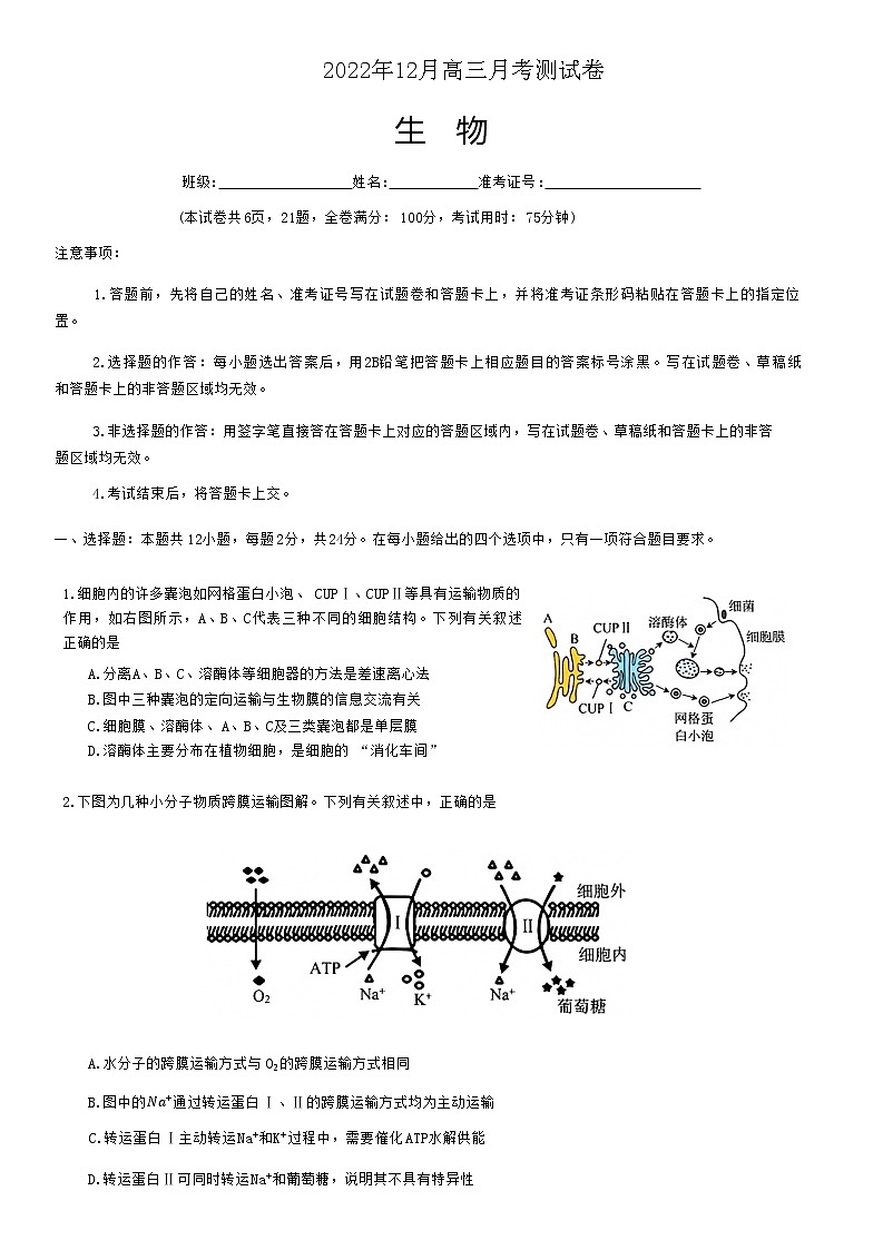 2022-2023学年湖南省A佳教育高三上学期12月联考试题生物Word版含答案01