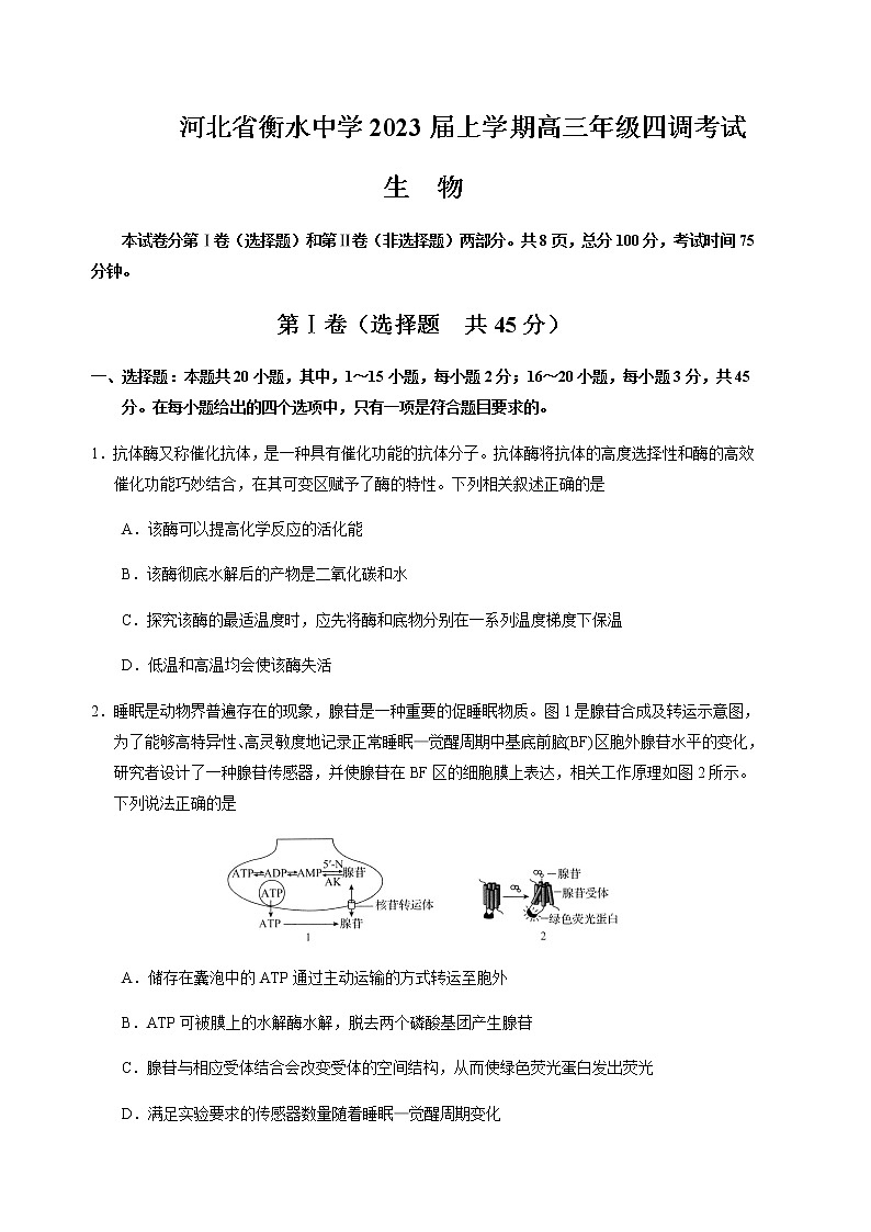 2022-2023学年河北省衡水中学高三上学期四调考试(月考)生物含答案第1页