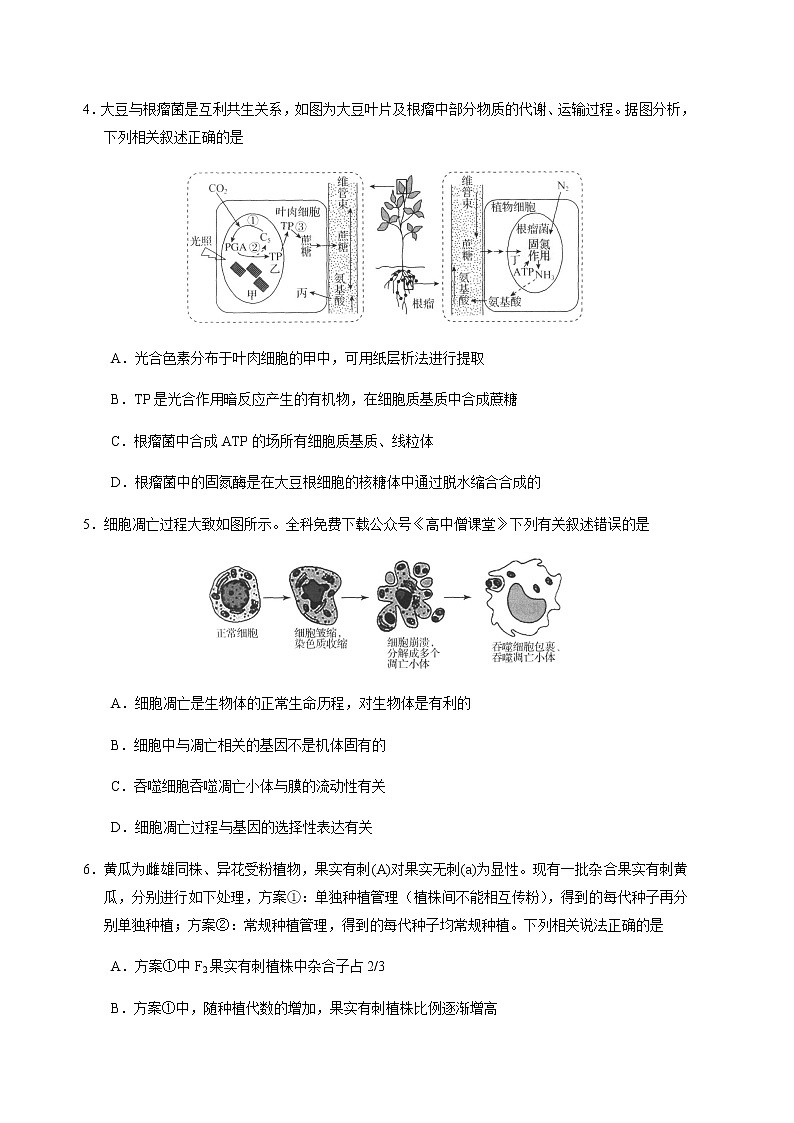 2022-2023学年河北省衡水中学高三上学期四调考试(月考)生物含答案第3页