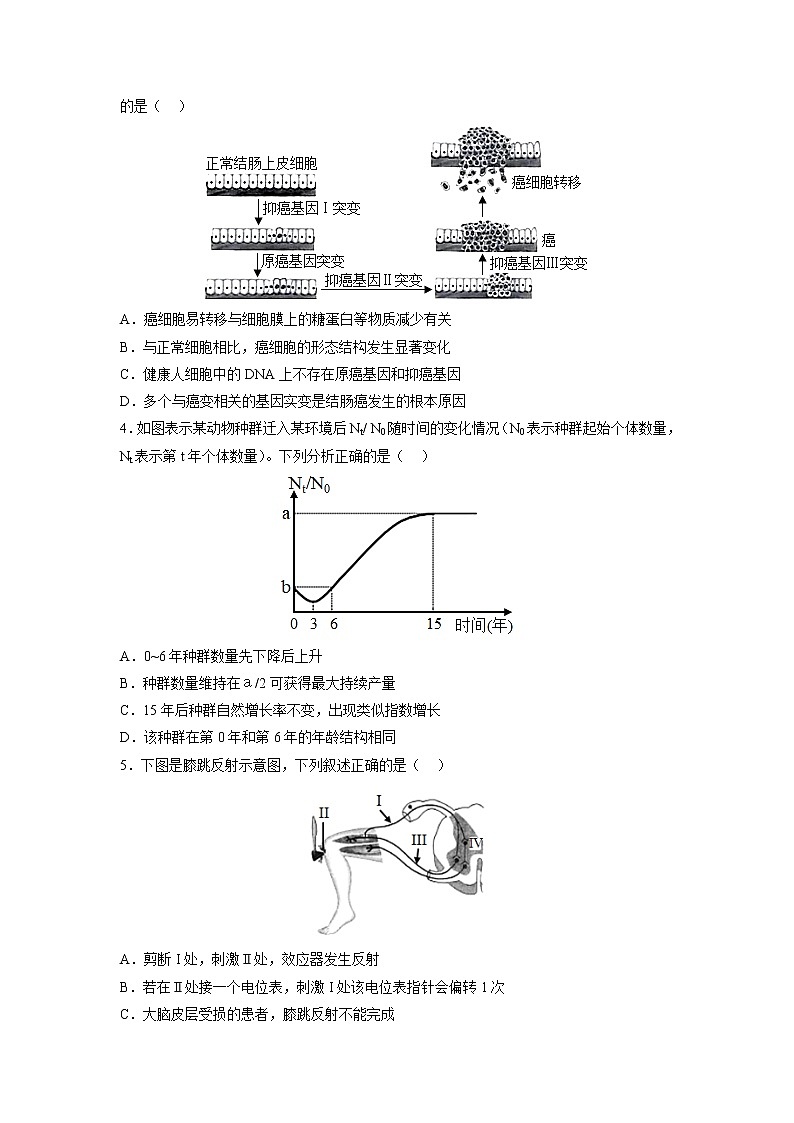 黄金卷02-【赢在高考·黄金8卷】备战2023年高考生物模拟卷（全国卷）（原卷版）第2页